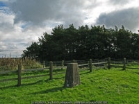 Trig point at Whitehill © Trevor Littlewood cc-by-sa/2.0 :: Geograph Britain and Ireland Trig point at Whitehill &copy; Trevor... 