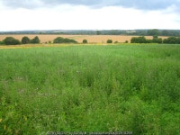 Hampshire countryside © Sandy B :: Geograph Britain and Ireland Hampshire countryside &copy; Sandy B