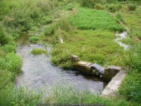 Watercress Beds by Alre Mill © Colin Smith :: Geograph Britain and Ireland Watercress Beds by Alre Mill &copy; Colin Smith