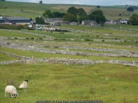 Sheep near Wardlow © Peter Barr :: Geograph Britain and Ireland Sheep near Wardlow &copy; Peter Barr