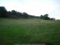 Pasture, Trian © Richard Webb :: Geograph Britain and Ireland Pasture, Trian &copy; Richard Webb