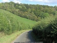 Rottendown Hill Plantation © Stuart Logan :: Geograph Britain and Ireland Rottendown Hill Plantation &copy; Stuart Logan