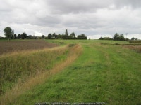 Field Path to Olive Bush Farm © Martin Dawes :: Geograph Britain and Ireland Field  Path  to  Olive  Bush  Farm &copy; Martin Dawes