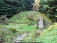 Highlandmans Wood - Glen Fruin track,... © william craig :: Geograph Britain and Ireland Highlandmans Wood - Glen Fruin track... 