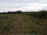 Track at the end of Eastbeck lane © J.Hannan-Briggs :: Geograph Britain and Ireland Track at the end of Eastbeck lane &copy; J.... 
