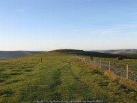 Looking Toward Mount Caburn © Simon Carey cc-by-sa/2.0 :: Geograph Britain and Ireland Looking Toward Mount Caburn &copy; Simon... 