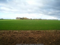 Wheat crop - Upper Wootton © ad acta :: Geograph Britain and Ireland Wheat crop - Upper Wootton &copy; ad acta