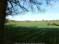 © Peter Morgan cc-by-sa/2.0 :: Geograph Britain and Ireland... overlooking fields from Shrawley... &copy; Peter Morgan cc-by-sa/2.0