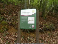 Blackstable Woods information board... © Terry Jacombs cc-by-sa/2.0 :: Geograph Britain and Ireland Blackstable Woods... 