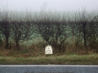 A1033 west of Winestead © Paul Glazzard :: Geograph Britain and Ireland A1033 west of Winestead &copy; Paul Glazzard