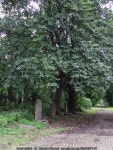 Dalry Cemetery © Thomas Nugent cc-by-sa/2.0 :: Geograph Britain and Ireland Dalry Cemetery &copy; Thomas Nugent cc-by-sa/2.0