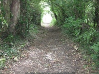 The Fosseway Byway © James Ayres cc-by-sa/2.0 :: Geograph Britain and Ireland The Fosseway Byway &copy; James Ayres cc-by-sa/2.0