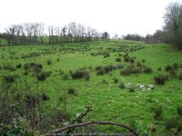 Rushy ground at Cranny © Kenneth Allen :: Geograph Britain and Ireland Rushy ground at Cranny &copy; Kenneth  Allen