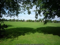 The Stray © DS Pugh cc-by-sa/2.0 :: Geograph Britain and Ireland The Stray &copy; DS Pugh cc-by-sa/2.0