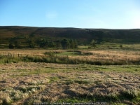 Part of the upland bog and marsh of... © Jeremy Bolwell :: Geograph Britain and Ireland Part of the upland bog and marsh of...... 