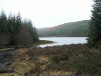 Loch of Grandtully © Lis Burke cc-by-sa/2.0 :: Geograph Britain and Ireland Loch of Grandtully &copy; Lis Burke cc-by-sa/2.0