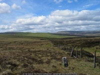 Boundary stone No. 37 © Trevor Littlewood cc-by-sa/2.0 :: Geograph Britain and Ireland Boundary stone No. 37 &copy; Trevor... 