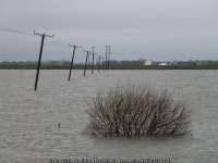 Electricity poles in deep flood water -... © Richard Humphrey cc-by-sa/2.0 :: Geograph Britain and Ireland Electricity poles in... 