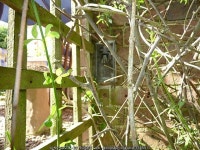 Flush Bracket G3462 - Langley House © Richard Law :: Geograph... and Ireland Flush Bracket G3462 - Langley House &copy; Richard Law