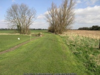 Green Grass Track (C) Michael Patterson :: Geograph Britain and Ireland Green Grass Track (C) Michael Patterson