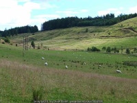 Valley of the Mill Burn © Oliver Dixon cc-by-sa/2.0 :: Geograph Britain and Ireland Valley of the Mill Burn &copy; Oliver Dixon... 