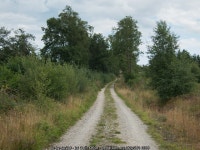 Peat Road (track) © Colin Grice :: Geograph Britain and Ireland Peat Road (track) &copy; Colin Grice