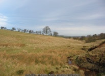 Stream valley near ruin © Espresso Addict :: Geograph Britain and Ireland Stream valley near ruin &copy; Espresso Addict