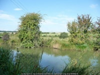 North bank, Kennet & Avon canal © Christine Johnstone cc-by-sa/2.0 :: Geograph Britain and Ireland North bank, Kennet & Avon... 