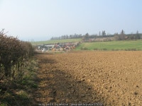 Hedge and Field © wfmillar :: Geograph Britain and Ireland Hedge and Field &copy; wfmillar