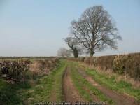 Bestmire Lane, Thornton le Moor © Gordon Hatton cc-by-sa/2.0 :: Geograph Britain and Ireland Bestmire Lane, Thornton le Moor... 