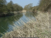 River Thames, Duxford © Andrew Smith cc-by-sa/2.0 :: Geograph Britain and Ireland River Thames, Duxford &copy; Andrew Smith cc... 