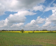 Fields beside Rogers Lane © Evelyn Simak :: Geograph Britain and Ireland Fields beside Rogers Lane &copy; Evelyn Simak