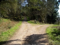 Track in Dalbeattie Forest © Iain Thompson :: Geograph Britain and Ireland Track in Dalbeattie Forest &copy; Iain Thompson