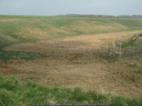 Rushy grassland by the A7 © M J Richardson :: Geograph Britain and Ireland Rushy grassland by the A7 &copy; M J Richardson