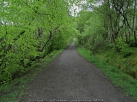 West Highland Way North of Allander Park © Chris Heaton cc-by-sa/2.0 :: Geograph Britain and Ireland West Highland Way North of... 