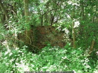 Remains of bomb storage in Honeypot... © Evelyn Simak cc-by-sa/2.0 :: Geograph Britain and Ireland Remains of  bomb storage in... 
