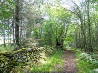 Track leaving the Redcastle Estate for... © Julian Paren cc-by-sa/2.0 :: Geograph Britain and Ireland Track leaving the... 
