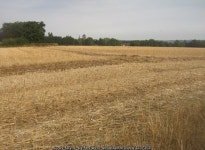 Saltash Field (12 acres) © Fernweh cc-by-sa/2.0 :: Geograph Britain and Ireland Saltash Field (12 acres) &copy; Fernweh cc-by-sa/2.0