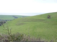 Strip Lynchets near Portesham © Becky Williamson cc-by-sa/2.0 :: Geograph Britain and Ireland Strip Lynchets near Portesham... 