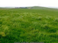 Gairy Hill © Rude Health cc-by-sa/2.0 :: Geograph Britain and Ireland Gairy Hill &copy; Rude Health  cc-by-sa/2.0