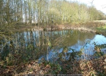 Keele University: pond behind Medical... © Jonathan Hutchins :: Geograph Britain and Ireland Keele University: pond behind... 