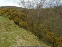 Yellow Hill Delf © Greum :: Geograph Britain and Ireland Yellow Hill Delf &copy; Greum