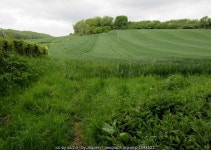 Field view towards Astridge Wood near... © Jaggery :: Geograph Britain and Ireland Field view towards Astridge Wood near...... 