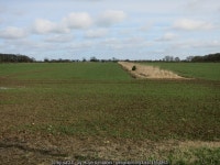 Fields near Stetchworth ley © Hugh Venables :: Geograph Britain and Ireland Fields near Stetchworth ley &copy; Hugh Venables