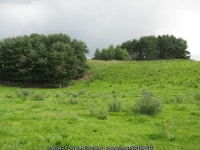 Promontory fort near Hosh © M J Richardson cc-by-sa/2.0 :: Geograph Britain and Ireland Promontory fort near Hosh &copy; M J... 