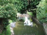 The New River south of Seymour Road, N8 © Mike Quinn cc-by-sa/2.0 :: Geograph Britain and Ireland The New River south of Seymour... 