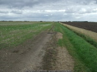 Farm track off Thorpe Tilney Drove © JThomas :: Geograph Britain and Ireland Farm track off Thorpe Tilney Drove &copy; JThomas