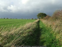 Green Track Dark Skies © Keith Evans cc-by-sa/2.0 :: Geograph Britain and Ireland Green Track Dark Skies &copy; Keith Evans cc... 
