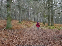 Track on Gallow Hill © Julian Paren cc-by-sa/2.0 :: Geograph Britain and Ireland Track on Gallow Hill &copy; Julian Paren cc-by... 