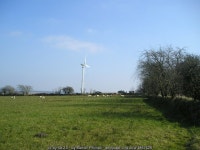 Wind turbine with sheep © Marion Phillips cc-by-sa/2.0 :: Geograph Britain and Ireland Wind turbine with sheep &copy; Marion... 